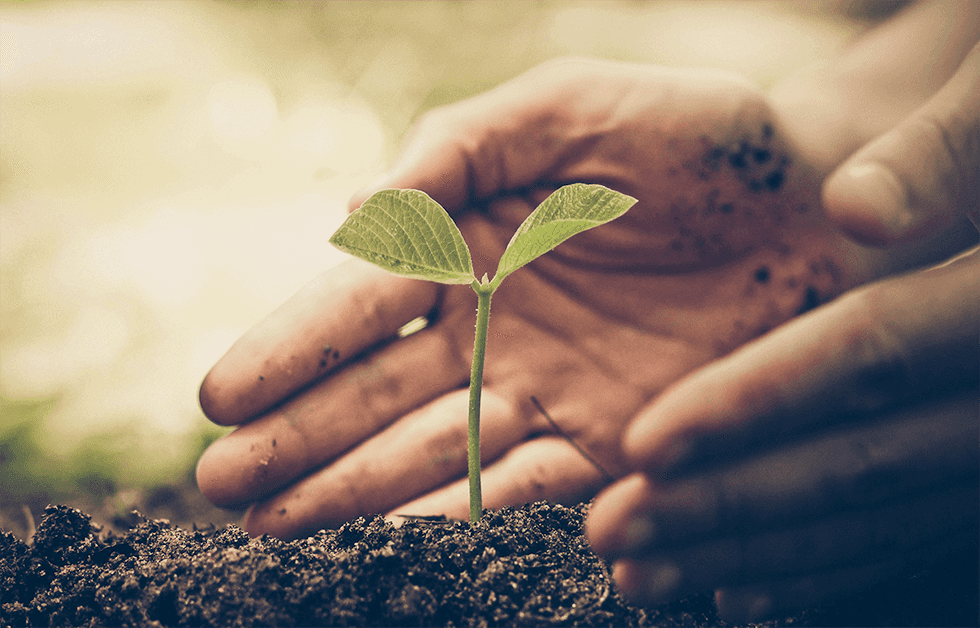 Can Debt-for-Climate and Nature Swaps Help Make Sri Lanka's Debt More Manageable?