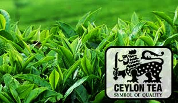 Veteran stories from 150 years of Pure Ceylon Tea: Jayantissa Ratwatte