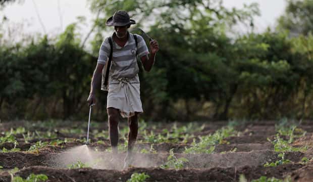 Blind Men and the ‘Glyphosate Elephant’