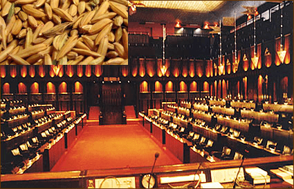 Premier responds to request to store paddy in Parliament