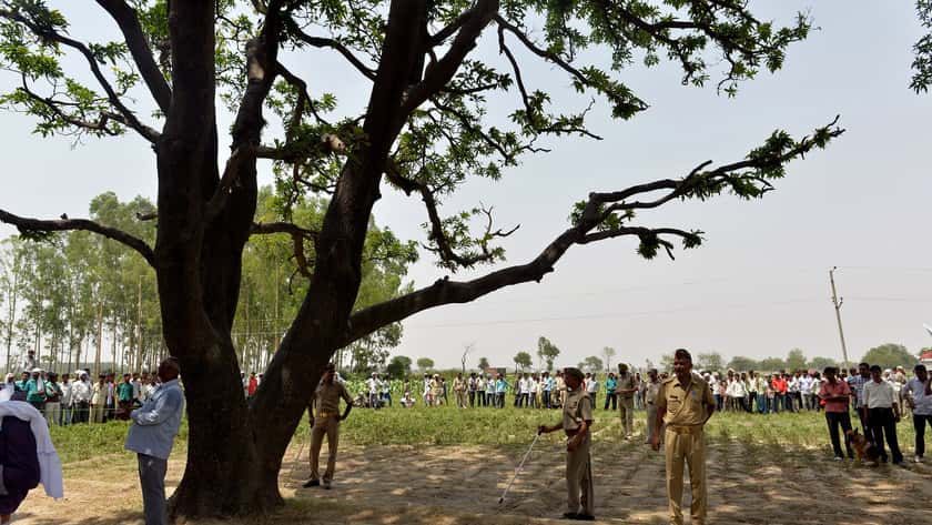 Toilet Shortage in India Fuels Rape as Women Are Prey Walking to Wheat Fields