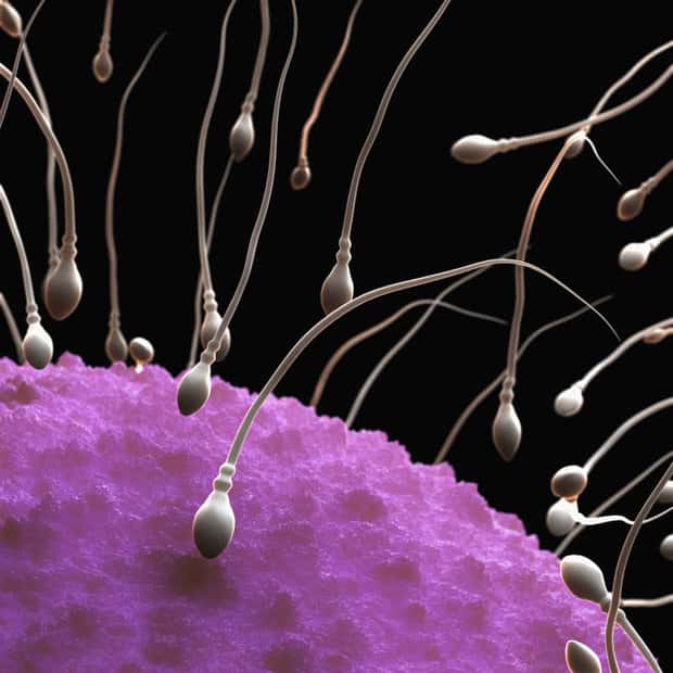 Men, it's your turn! Scientists develop 99% effective male contraceptive pill