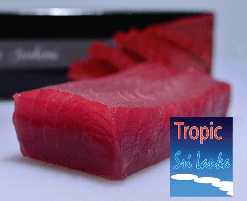 This is how Sri Lankan tuna is exported around the world –Video