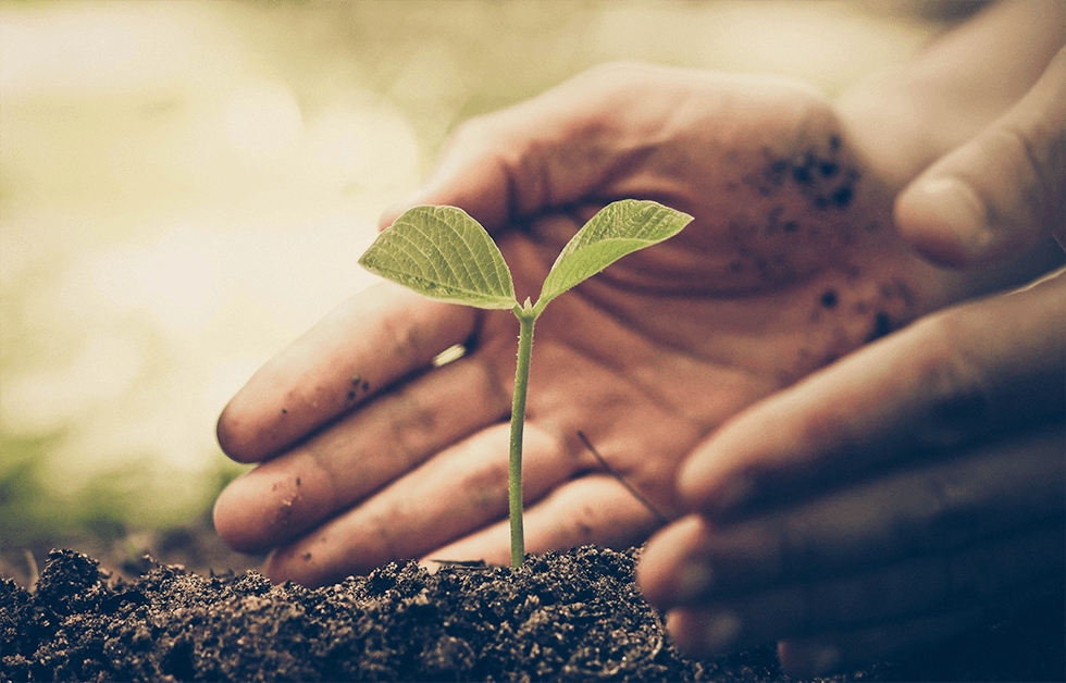 Can Debt-for-Climate and Nature Swaps Help Make Sri Lanka's Debt More Manageable?