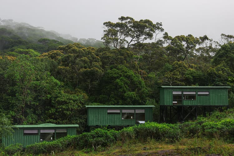 A New Chapter at the Edge of Sinharaja: Rainforest Ecolodge