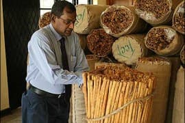 Innovative entrepreneur conquers world with cinnamon