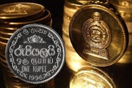 Sri Lanka rupee falls 3 pct to record low after c.bank floats - dealers