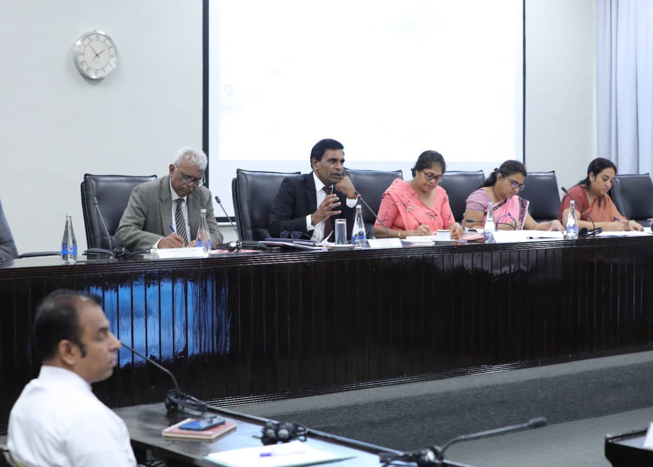 Ministerial Consultative Committee Focuses on Measures Taken to Curb Cybercrime