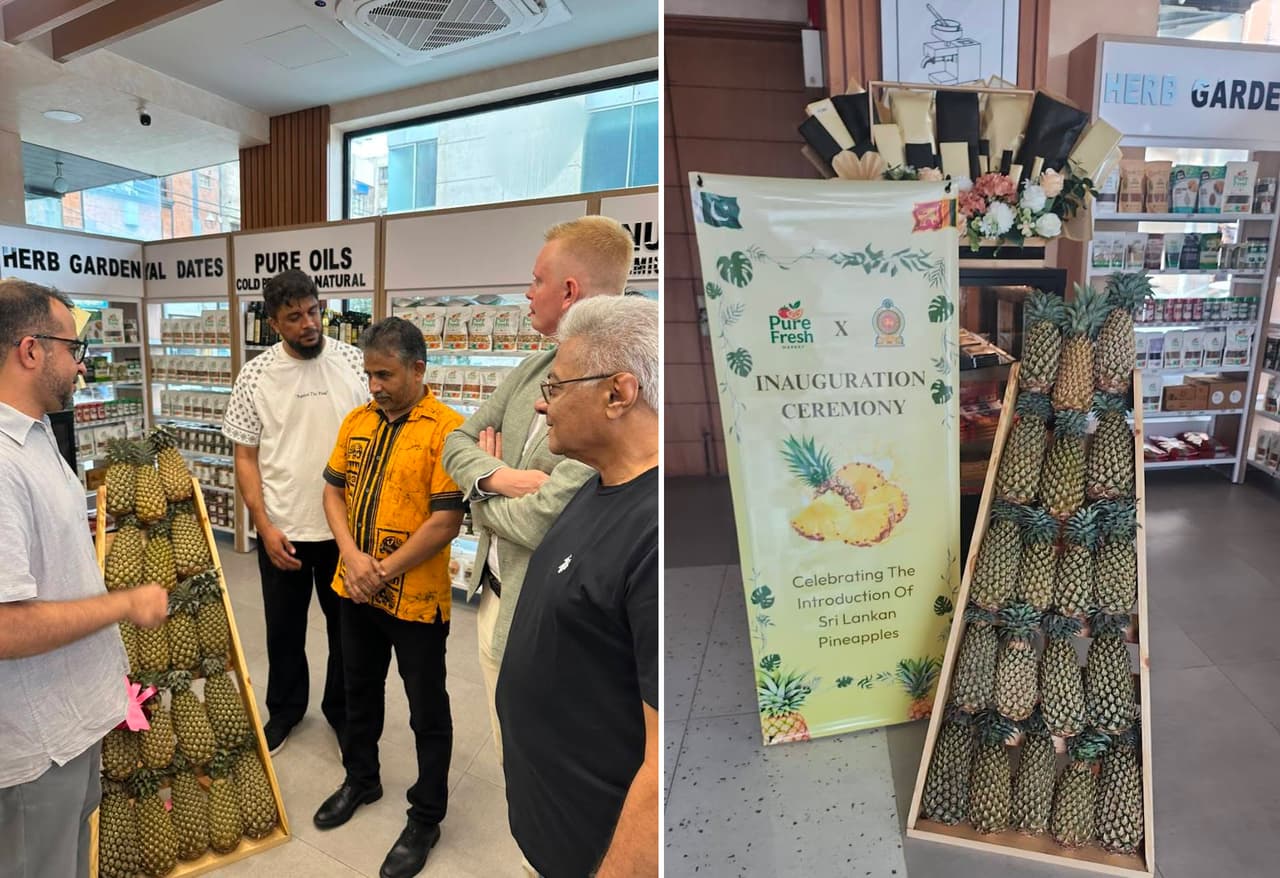 Sri Lankan Fresh Pineapples Arrive in Karachi