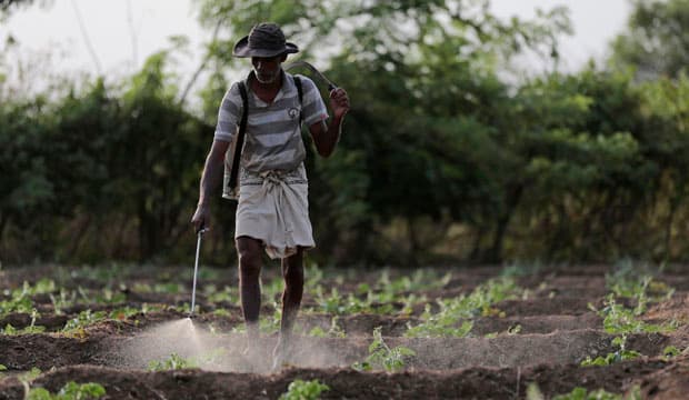 Blind Men and the ‘Glyphosate Elephant’
